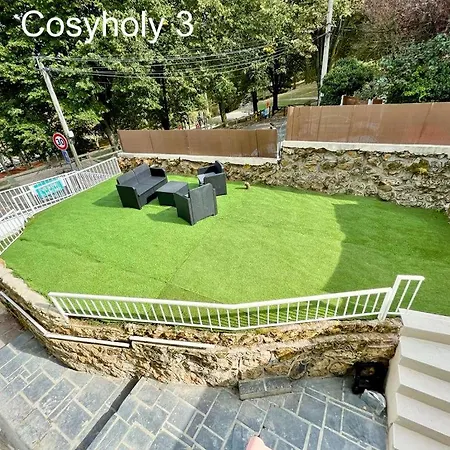 Cosyholy
