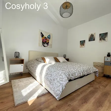 Cosyholy Apartman